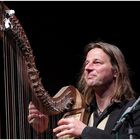 andy lang with his harp