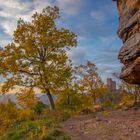 Anebos und Trifels im Herbst