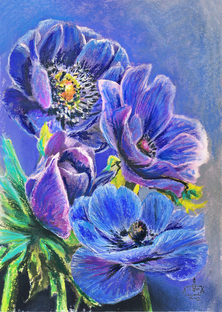 Anemonen Foto & Bild kunstfotografie & kultur, gemälde & skulpturen