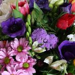 Anemonen, Tulpen und mehr