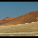 Anfahrt auf Sossusvlei