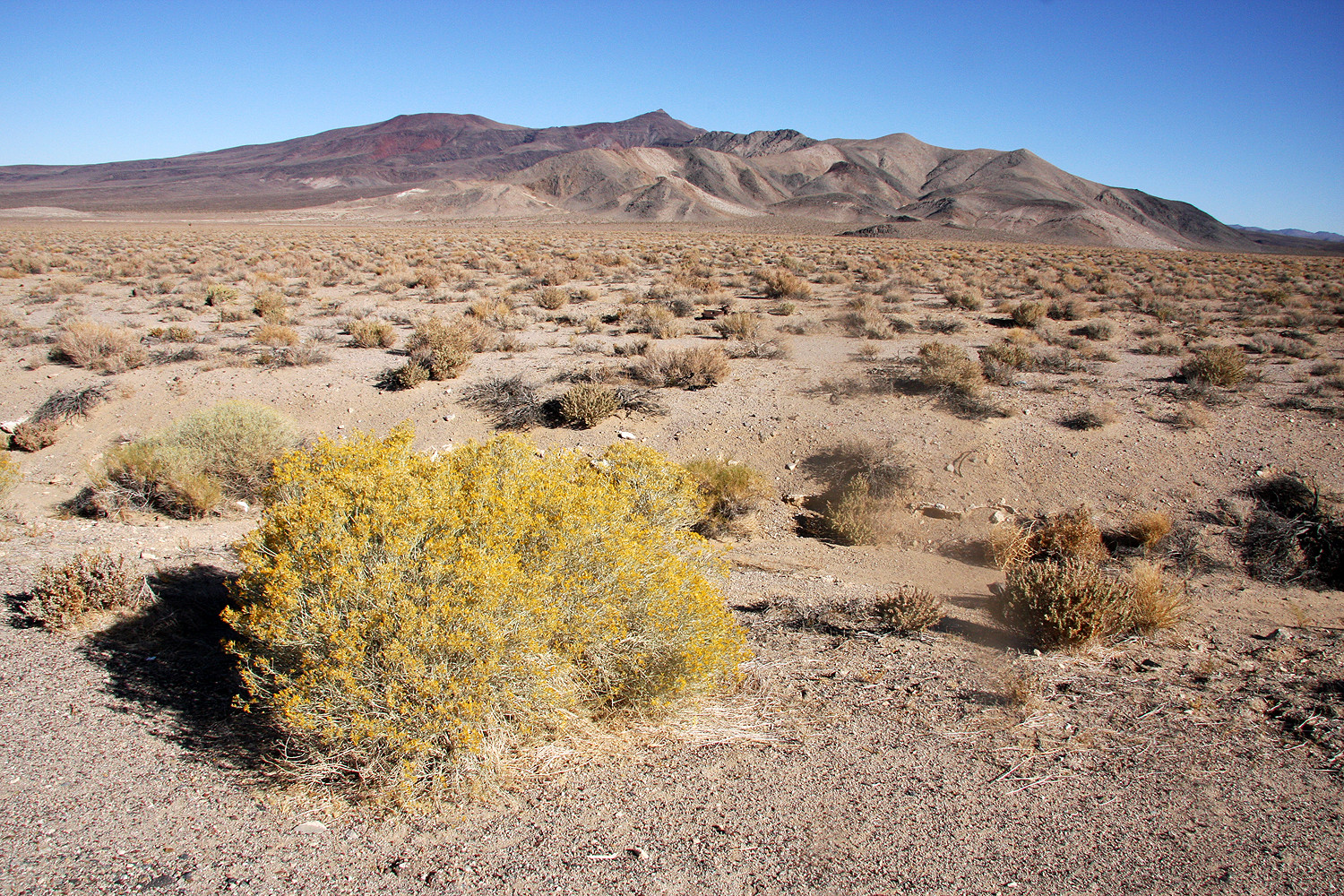 Anfahrt zum Death Valley, Wüste, Nevada