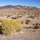 Anfahrt zum Death Valley, Wüste, Nevada