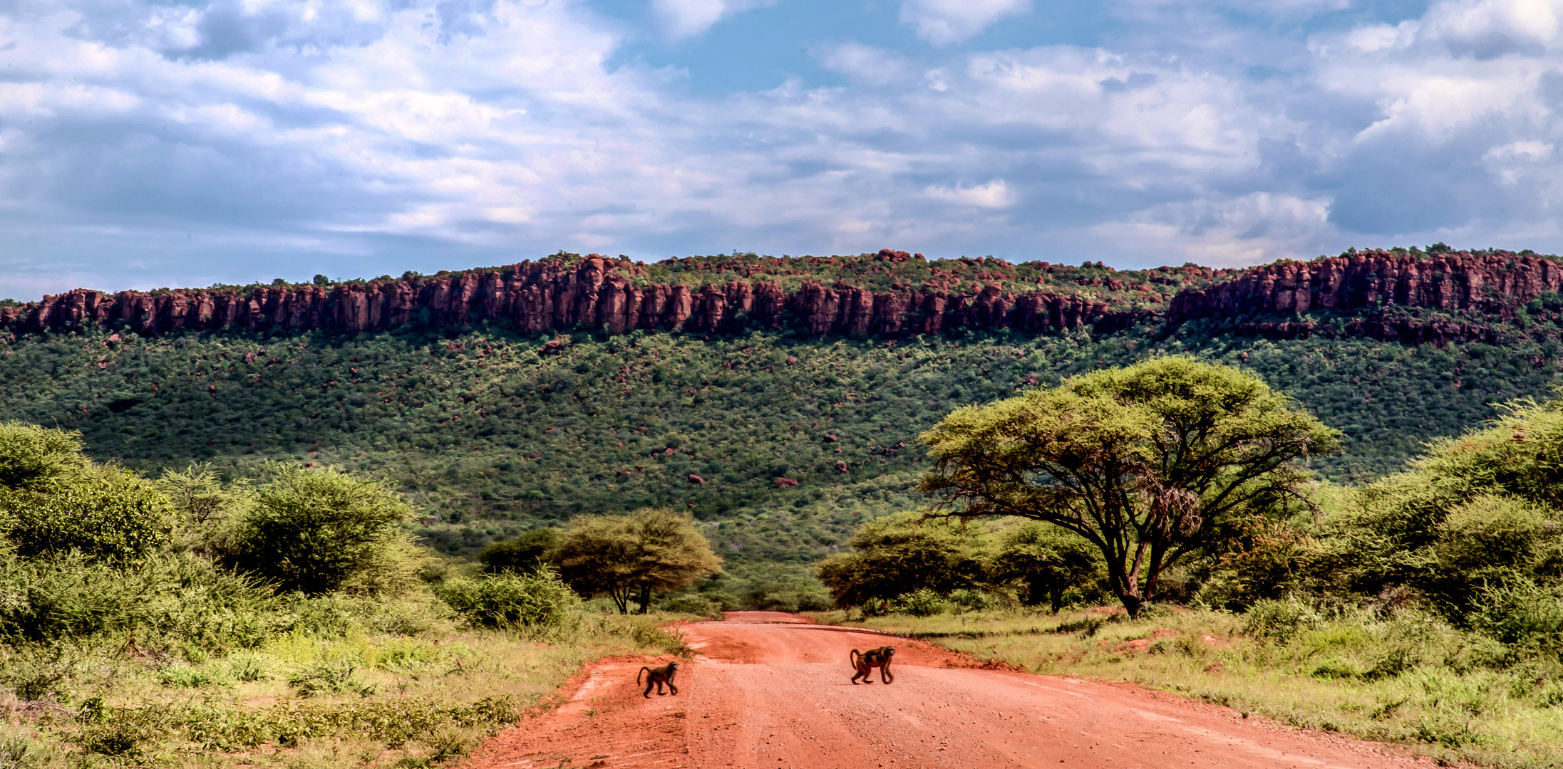 Anfahrt zum Waterberg