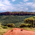 Anfahrt zum Waterberg