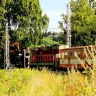 "Anfang einer Beziehung?", Rybnik, 11.08.2011