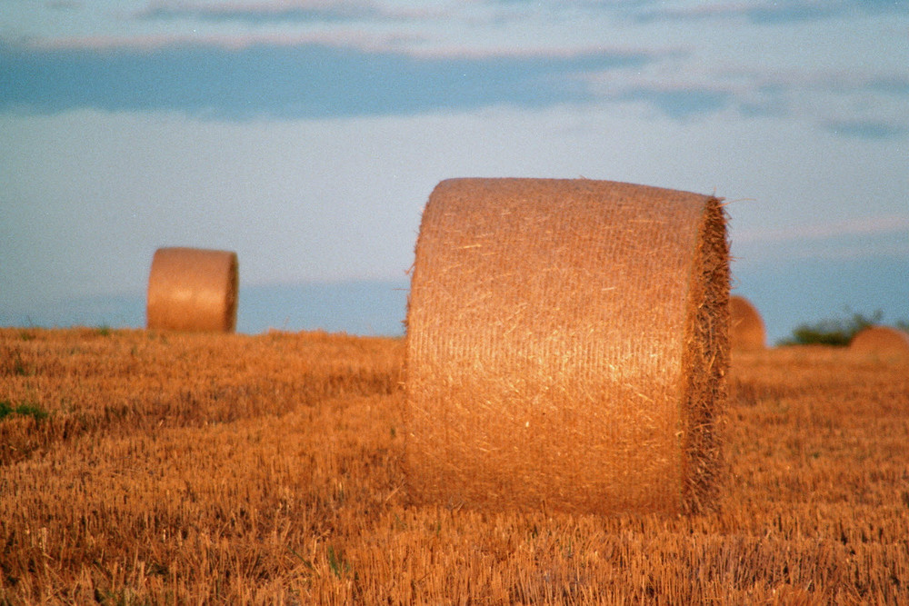 Anfang Herbst 2008