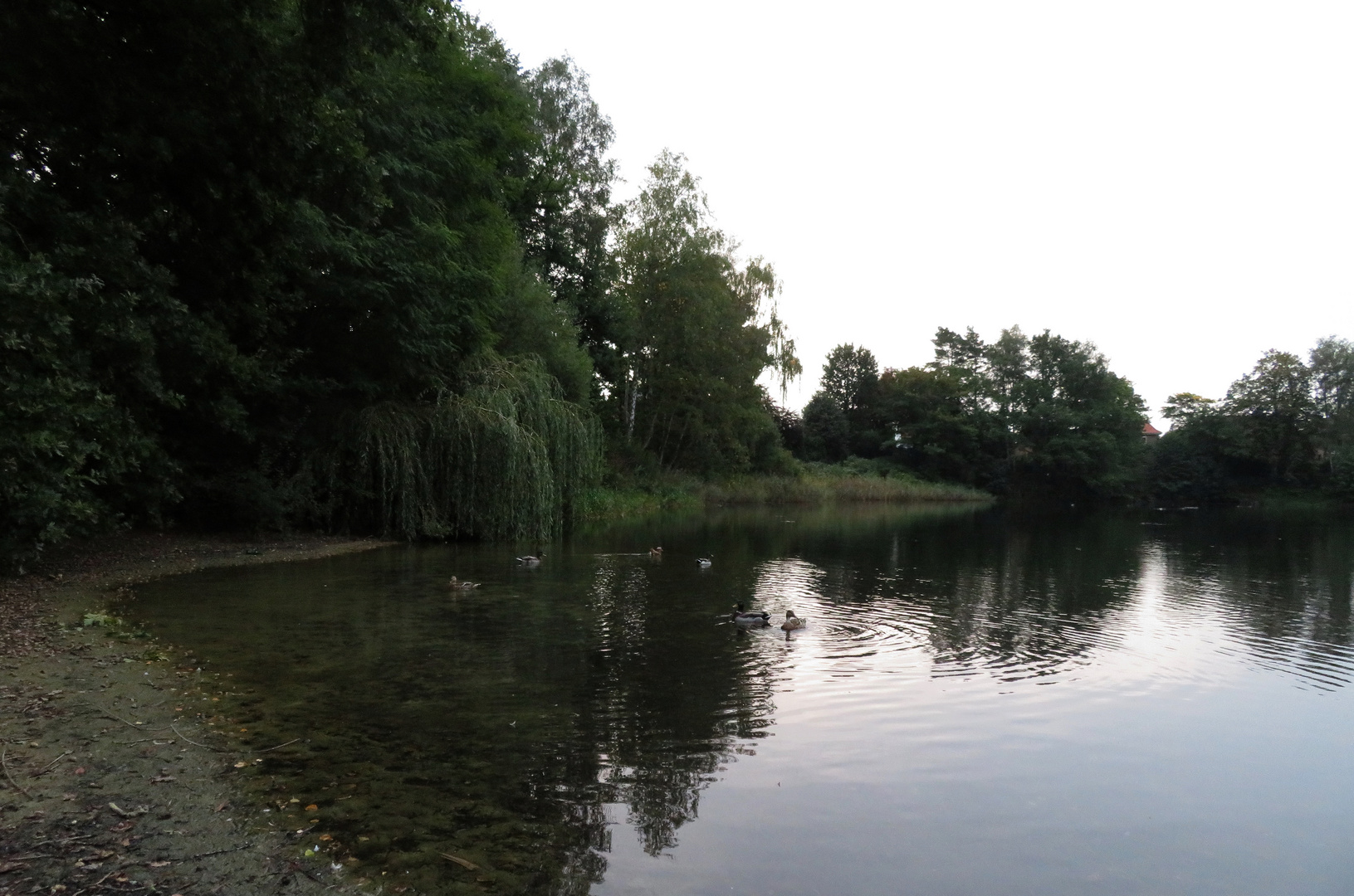 Anfang Herbst am See ... 