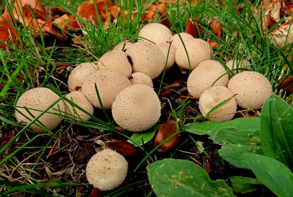 Anfang letzter Woche