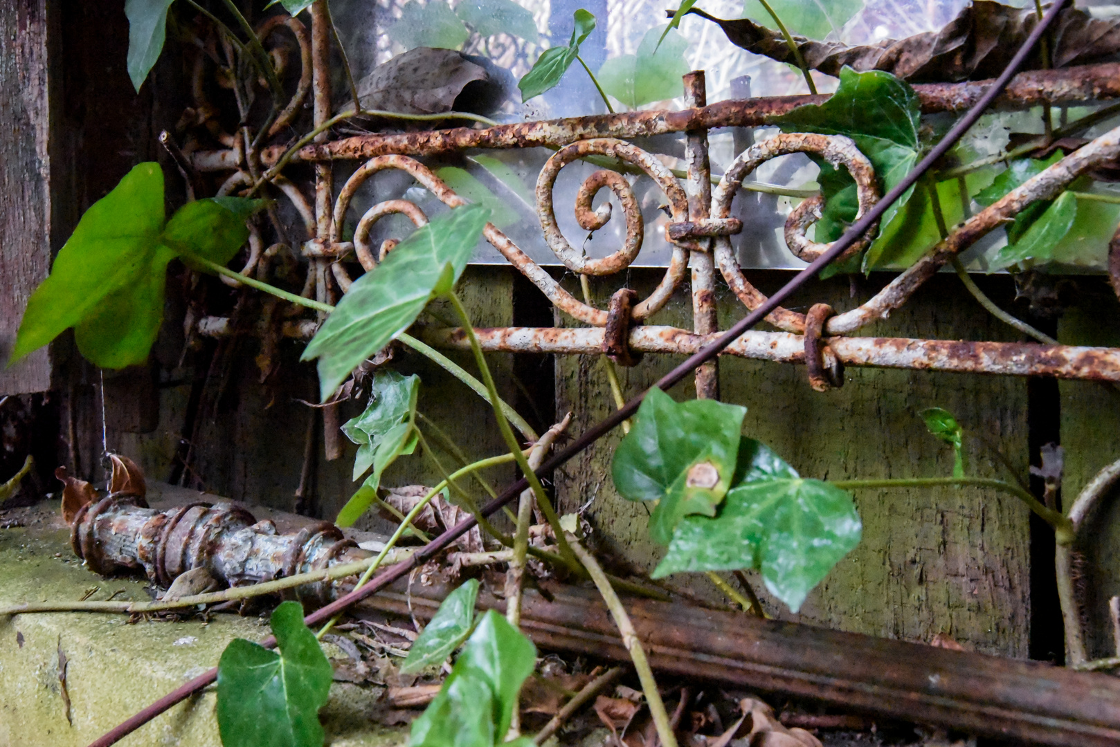 Anfang März im Garten