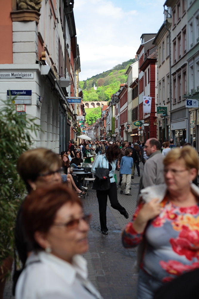 Anfang Mai in Heidelberg