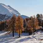 Anfang November auf der Seiser Alm