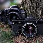 Anfang und Ende von Canon's professionellen Film Spiegelreflexkameras