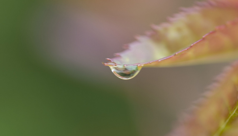 Anfang war das Wasser