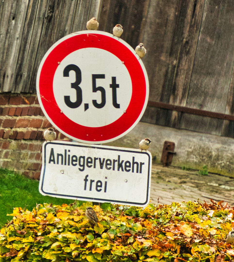 An(f)liegerverkehr frei!