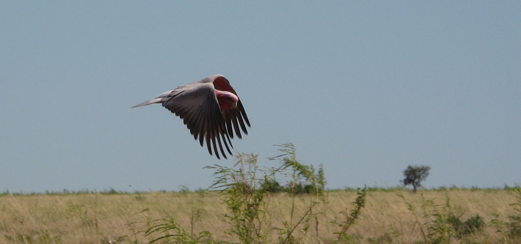 Anflug 2