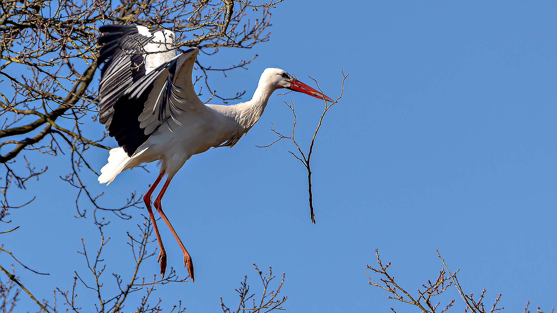 Anflug