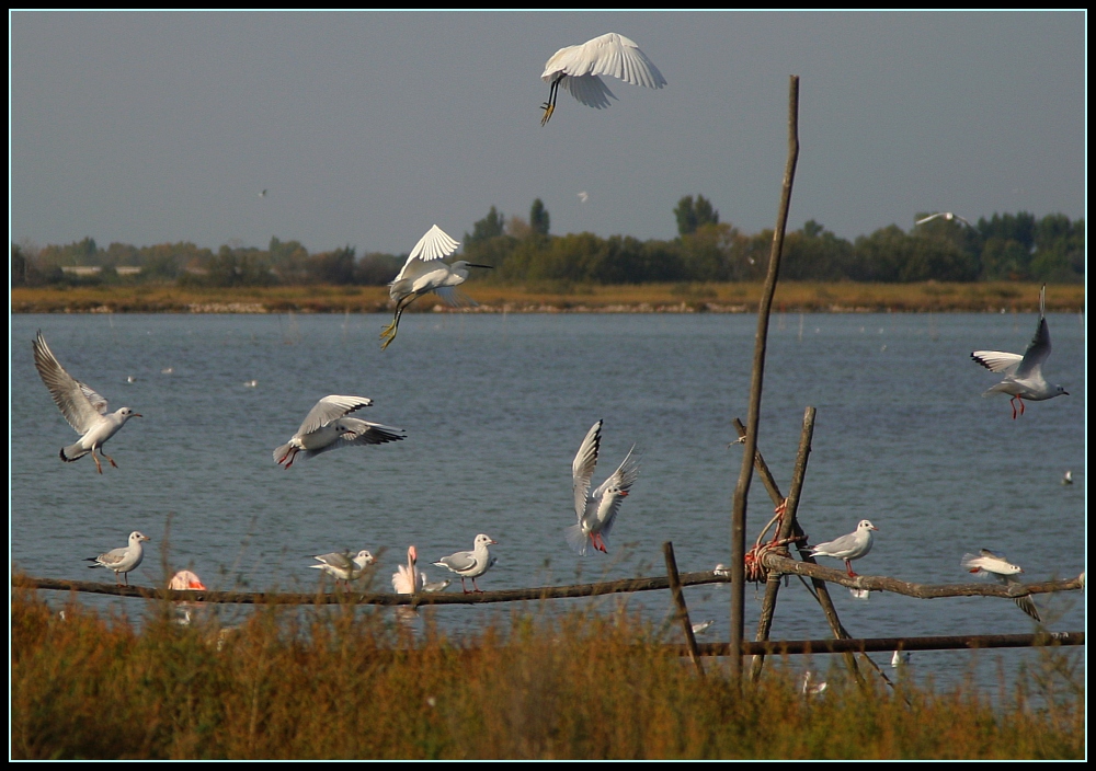 ... Anflug / Abflug ...