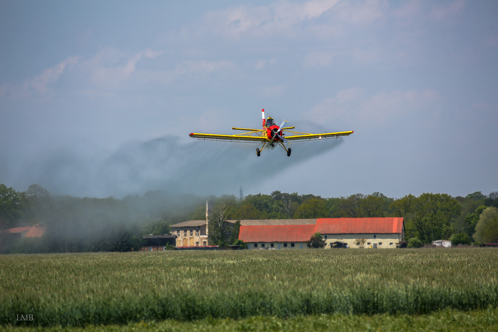 Anflug als Insektenkiller