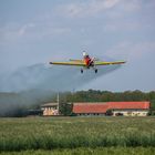 Anflug als Insektenkiller