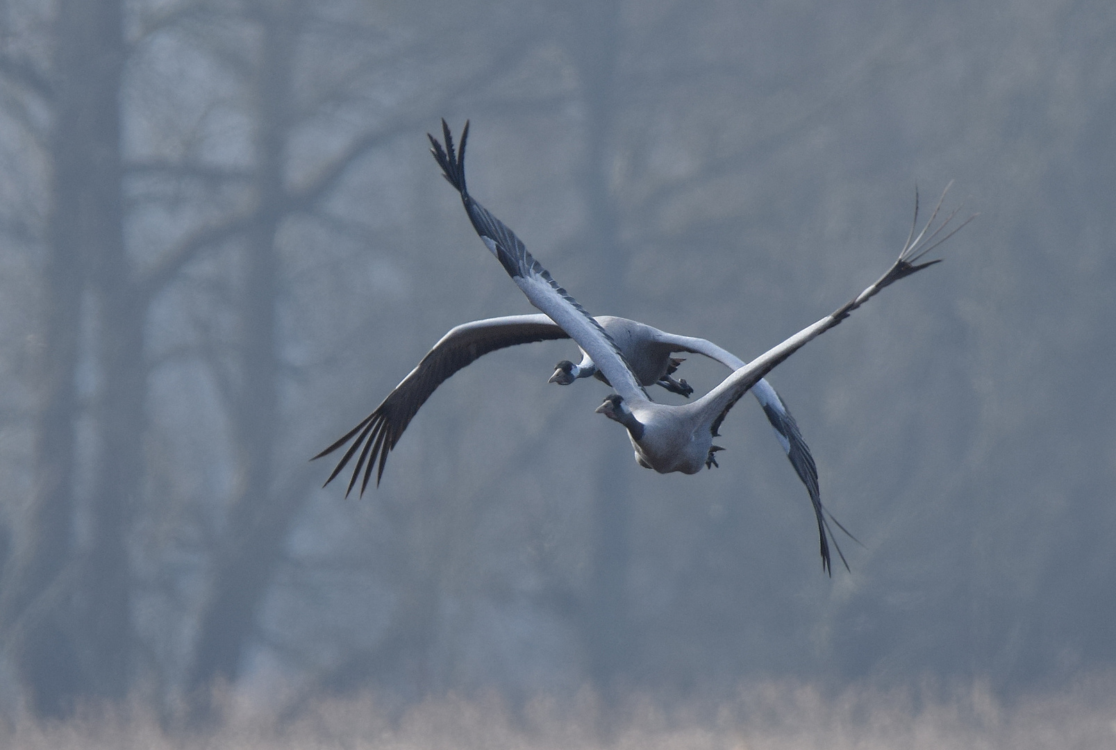 Anflug am Morgen