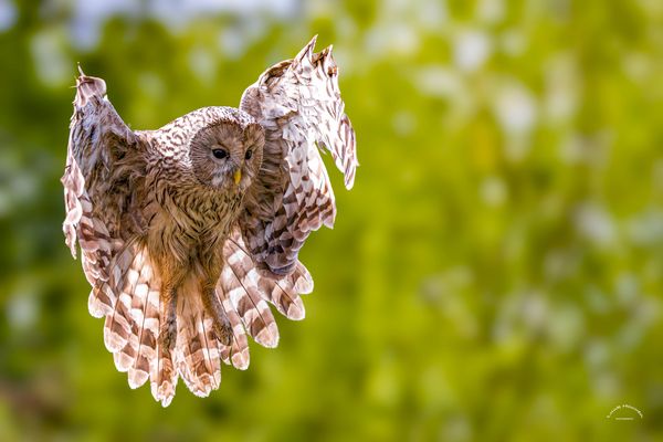 Anflug / Approach (0824)