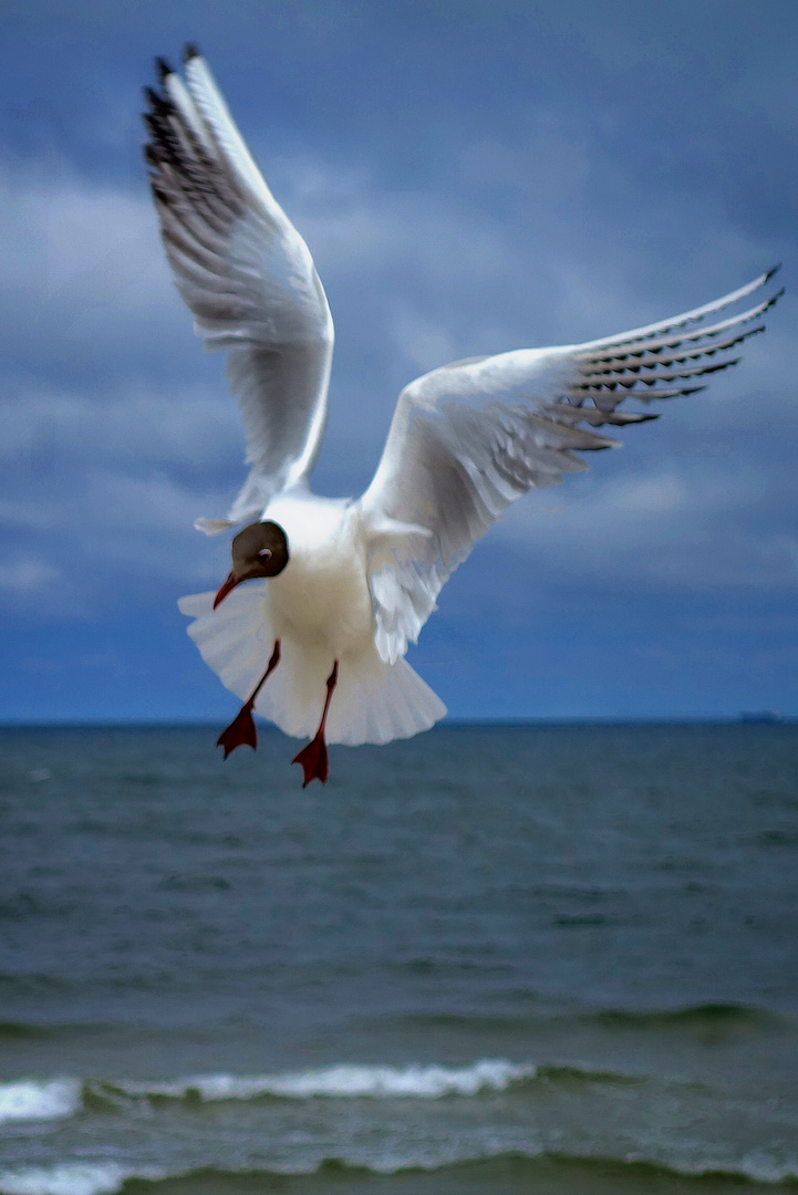 Anflug auf Ahlbeck ......