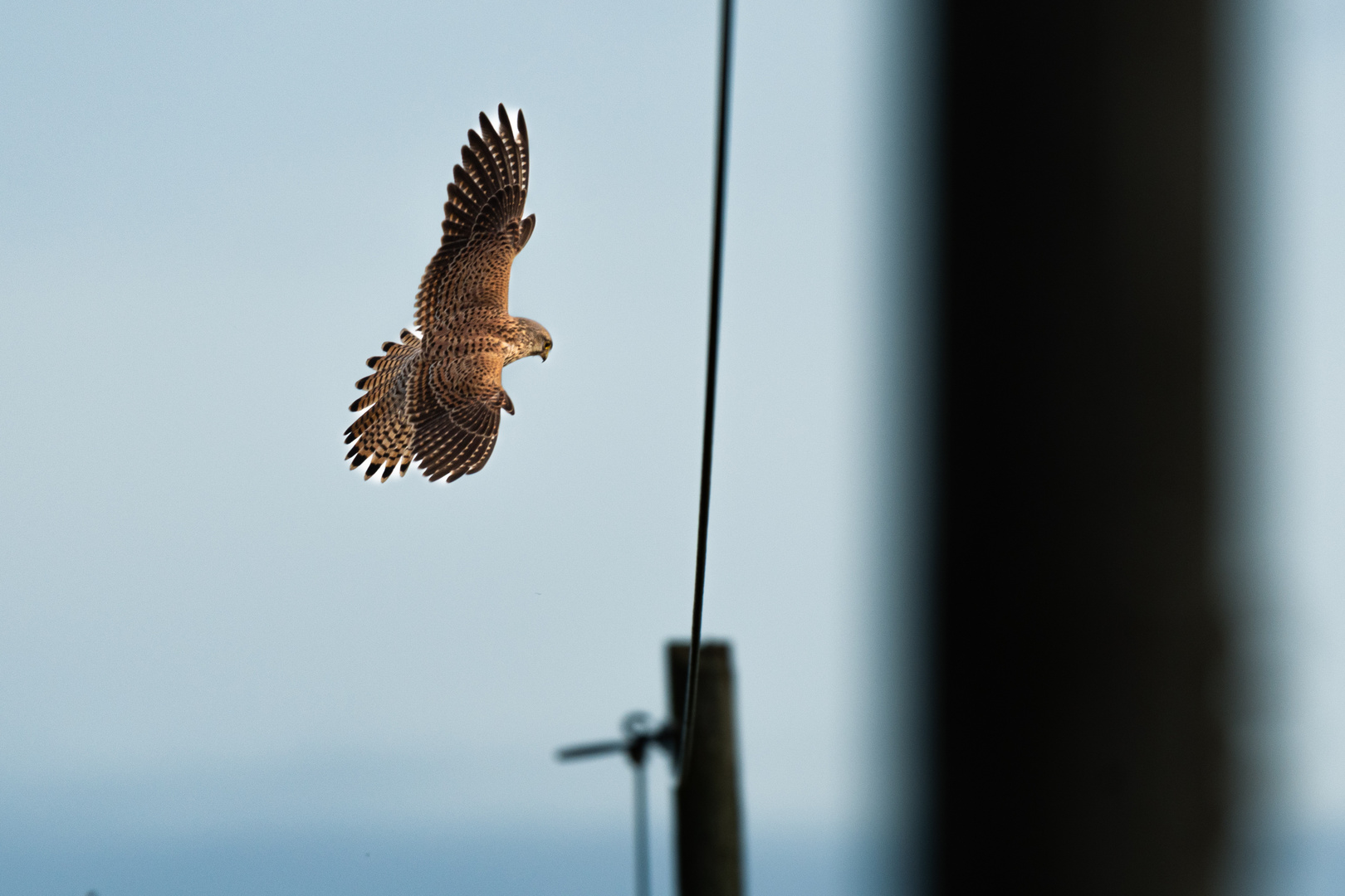 Anflug auf Ansitz