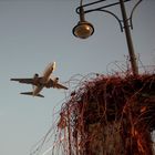 Anflug auf Berlin Tegel - oder: ruhig wohnen