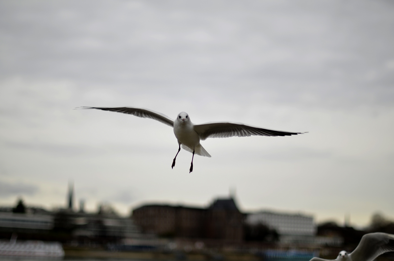 Anflug auf Bonn