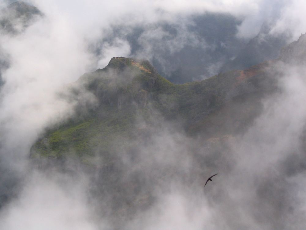 Anflug auf den Pico Ruivo