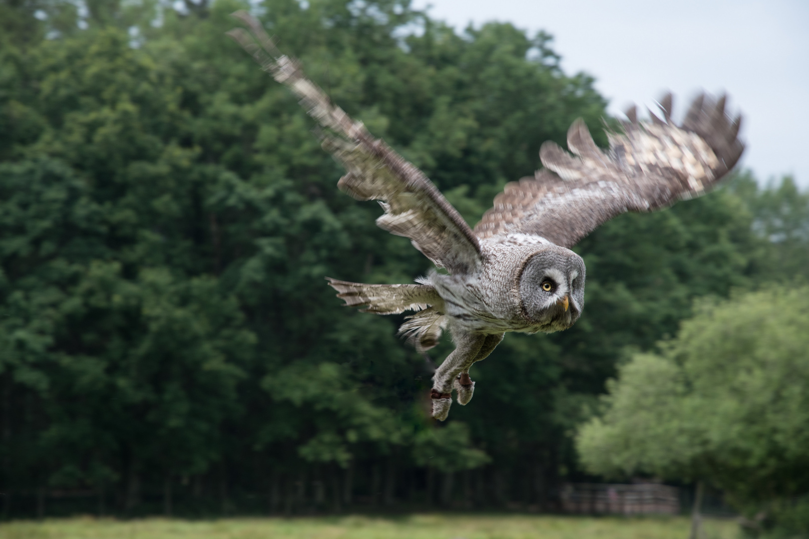 Anflug auf die Belohnung