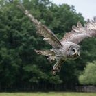 Anflug auf die Belohnung