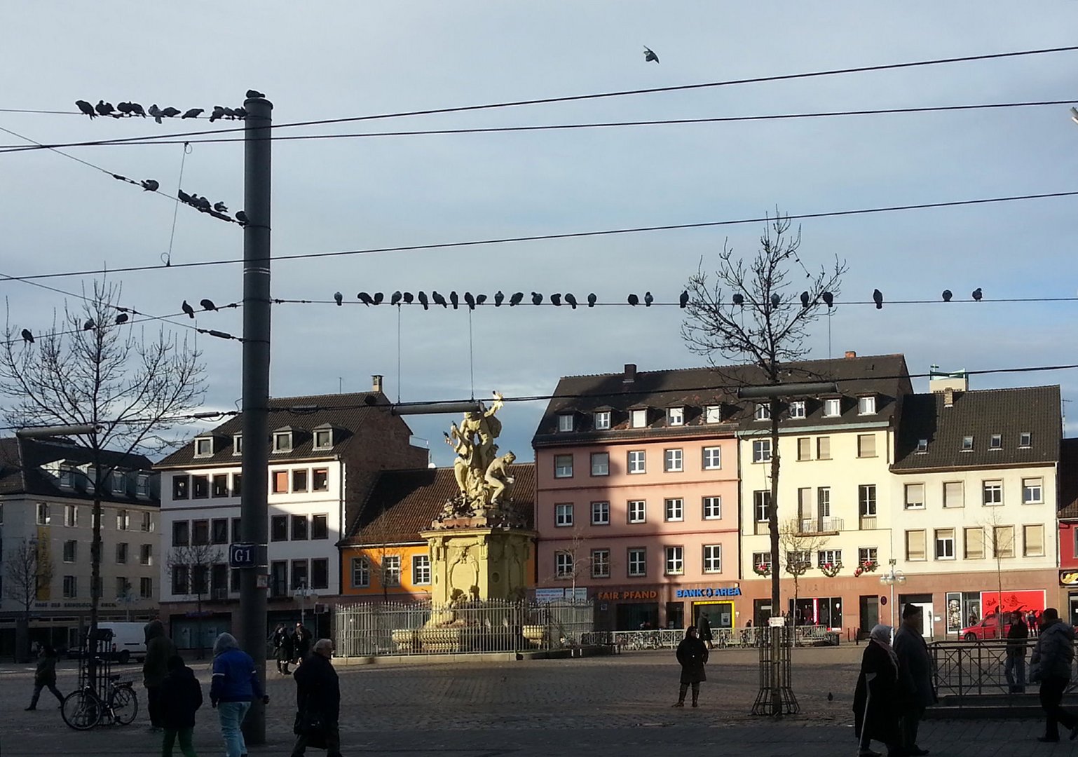 Anflug auf einen freien Sitzplatz