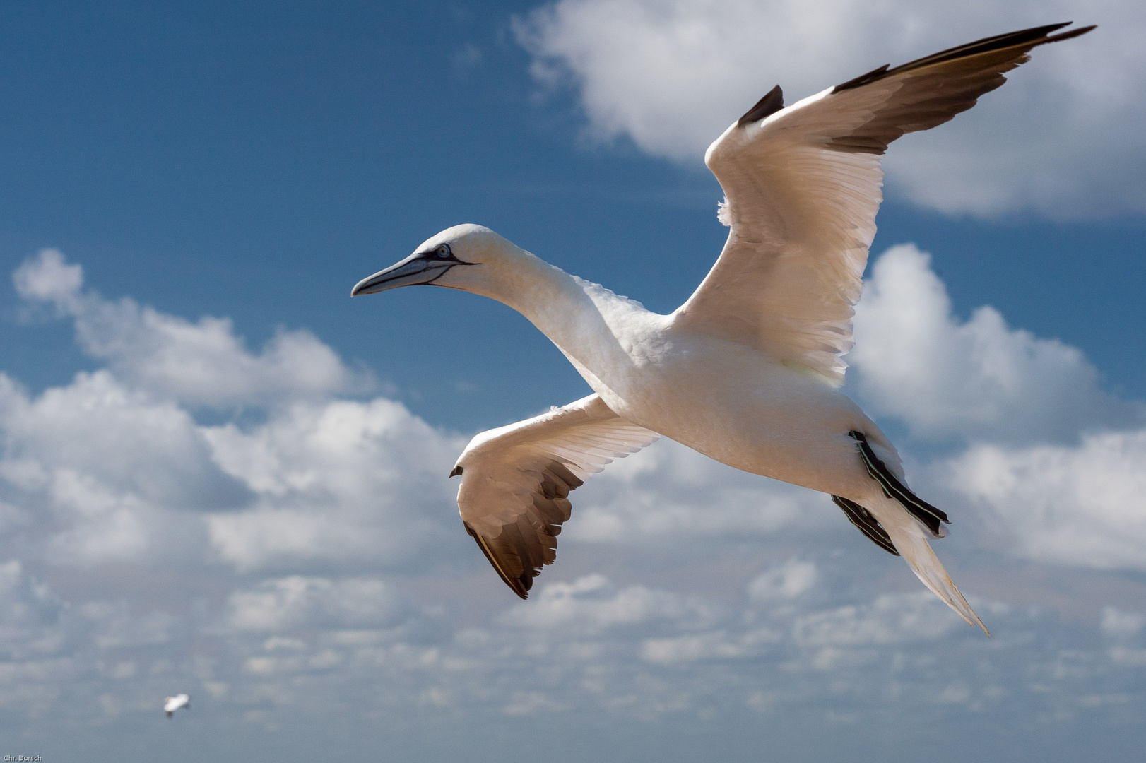 Anflug auf Helgoland