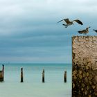 Anflug auf Key West