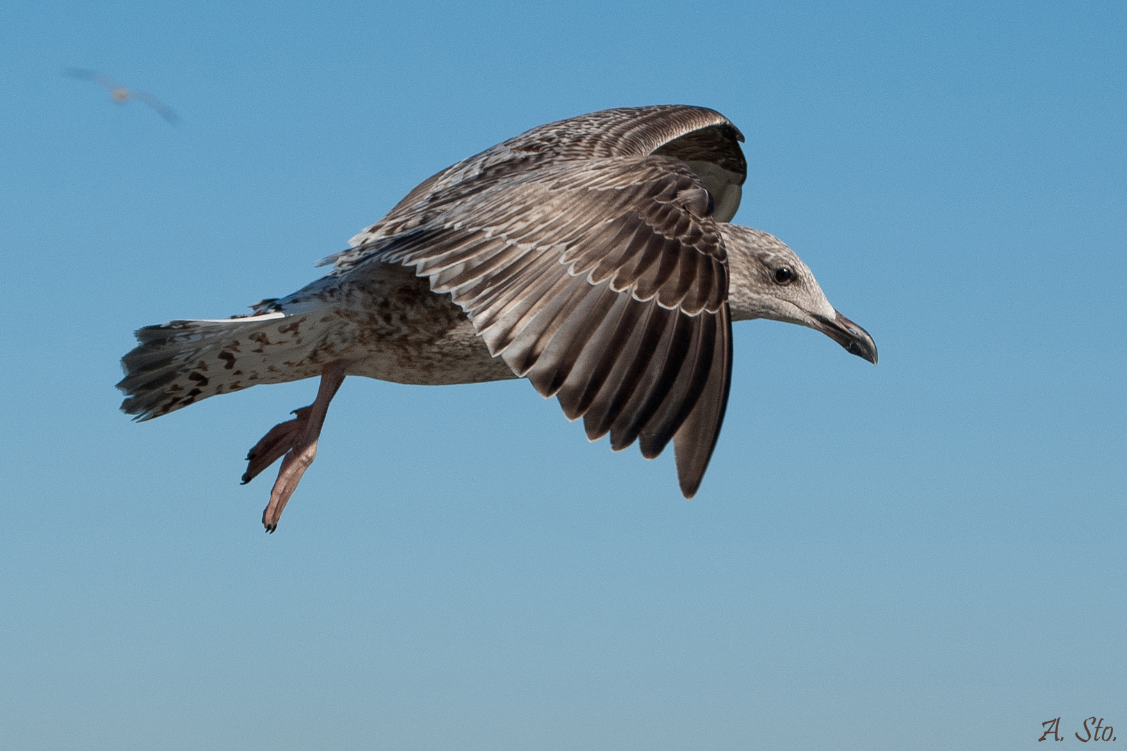 Anflug auf Sylt