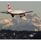 Anflug auf Zürich