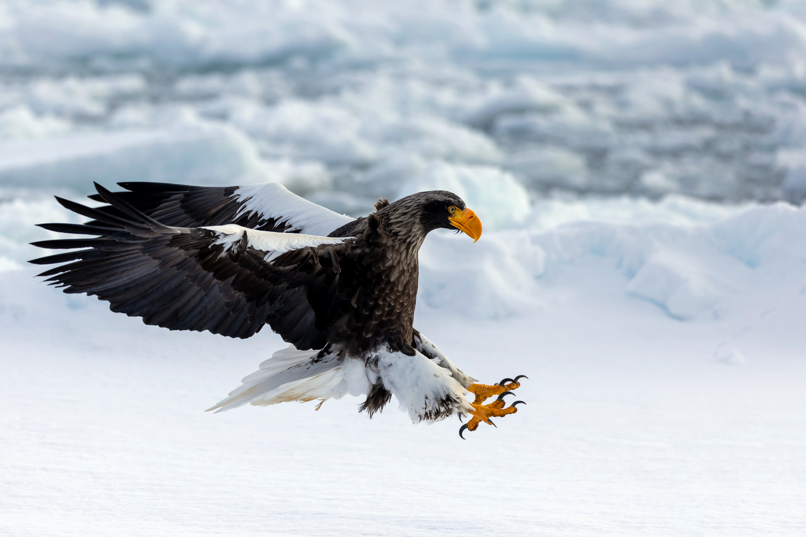 Anflug im Eis