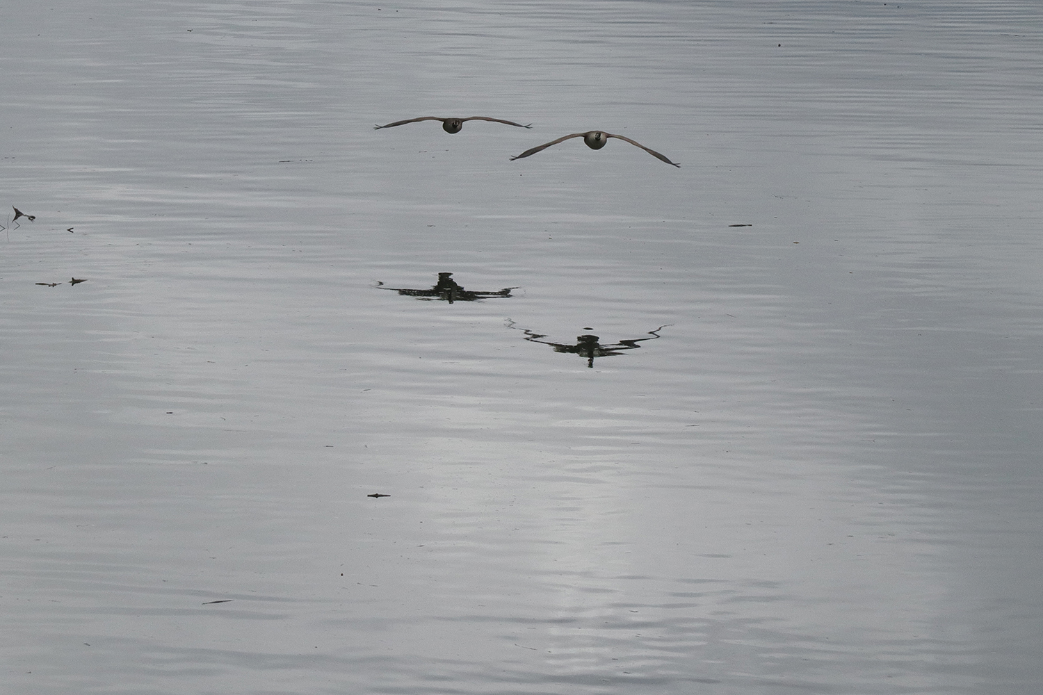 Anflug im Gegenlicht