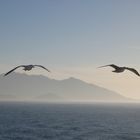 Anflug im Morgengrauen