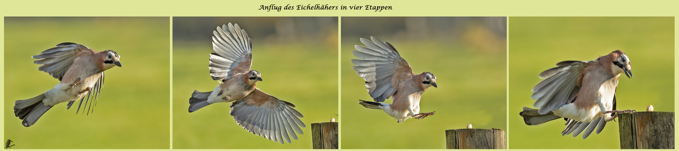 Anflug in Etappen