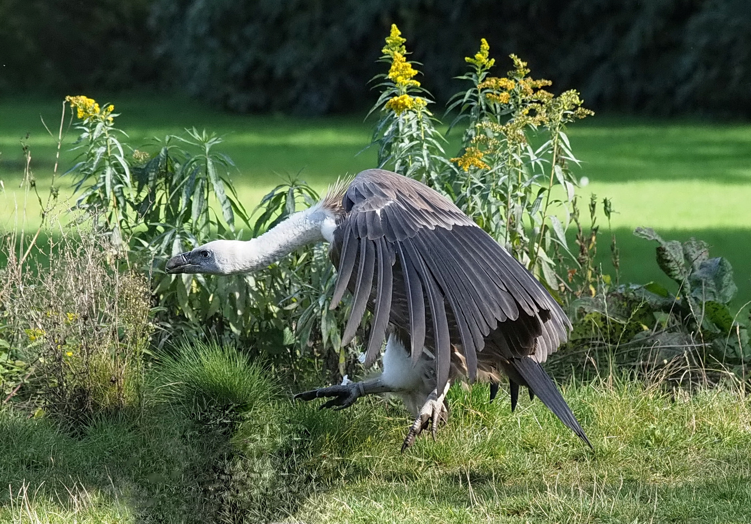 Anflug ins Wochenende