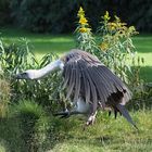 Anflug ins Wochenende