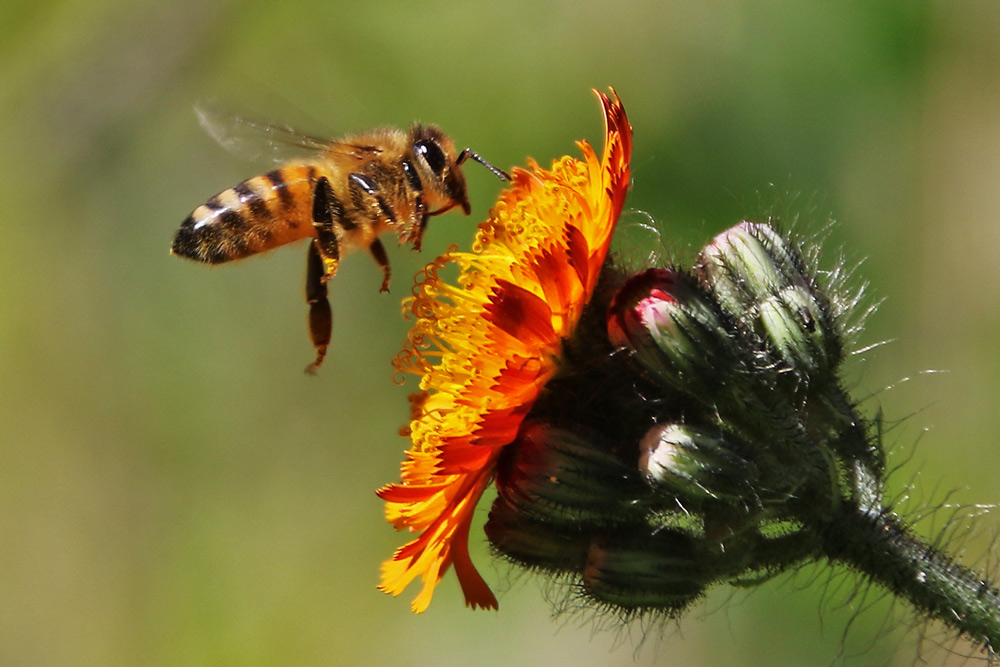 Anflug oder Abflug ?