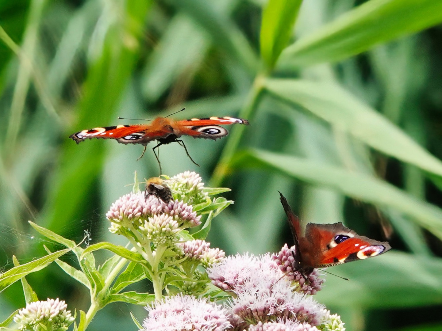 Anflug oder Abflug 