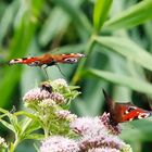 Anflug oder Abflug 