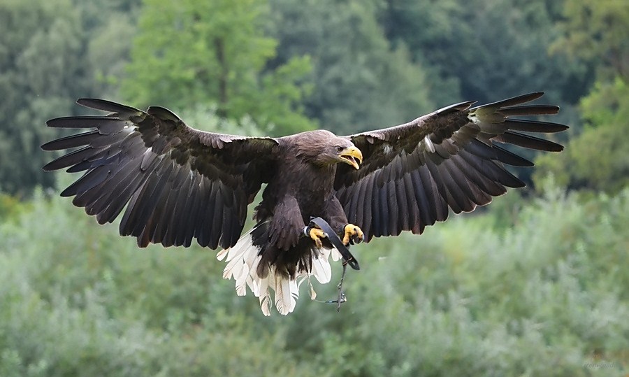 Anflug ... perfekt!!!