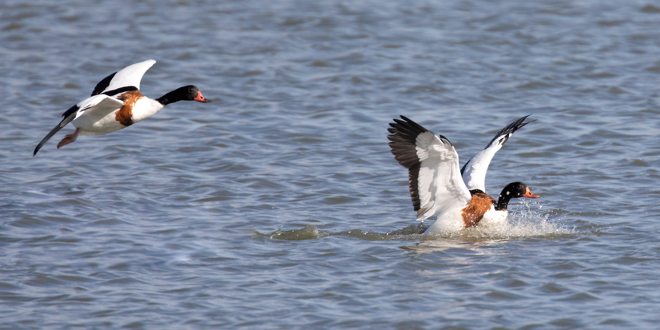 Anflug und Landung