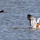 Anflug und Landung